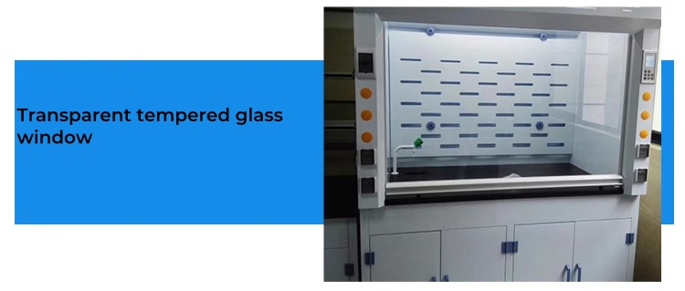 Double Door Walk In Fume Hood price